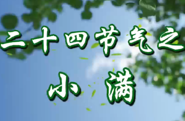 Alternate Text